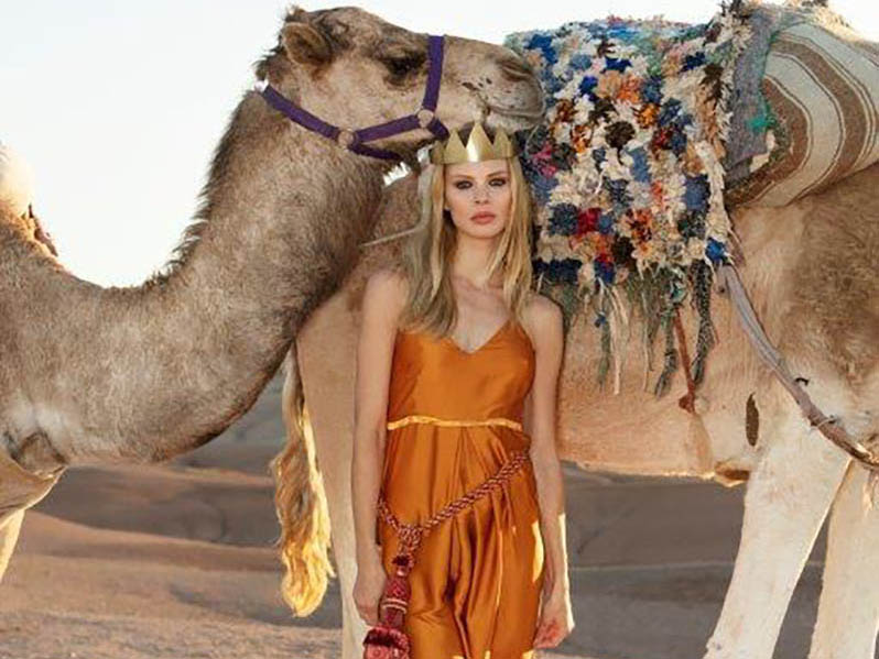 Camels